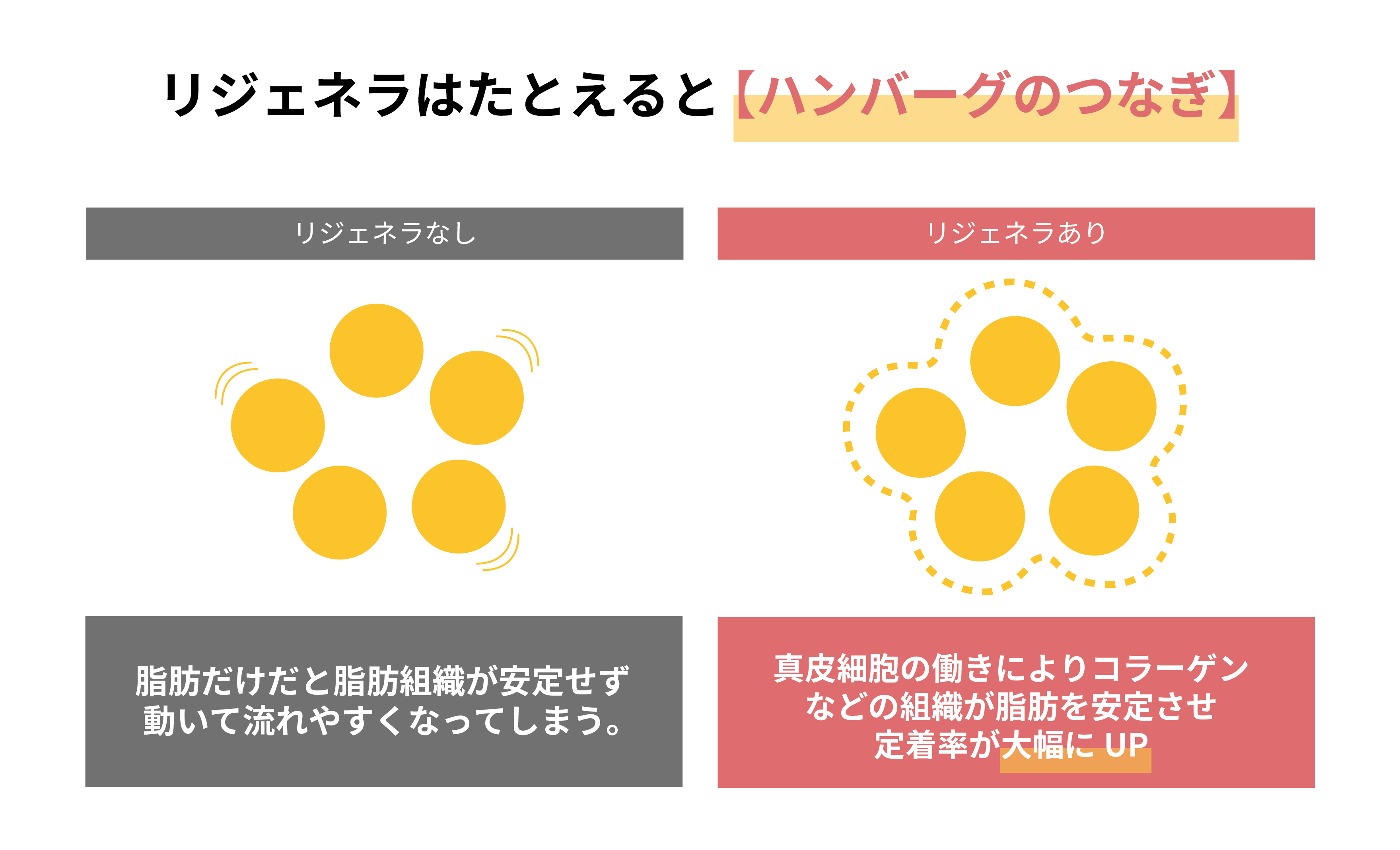 リジェネラはハンバーグのつなぎのようなもの?