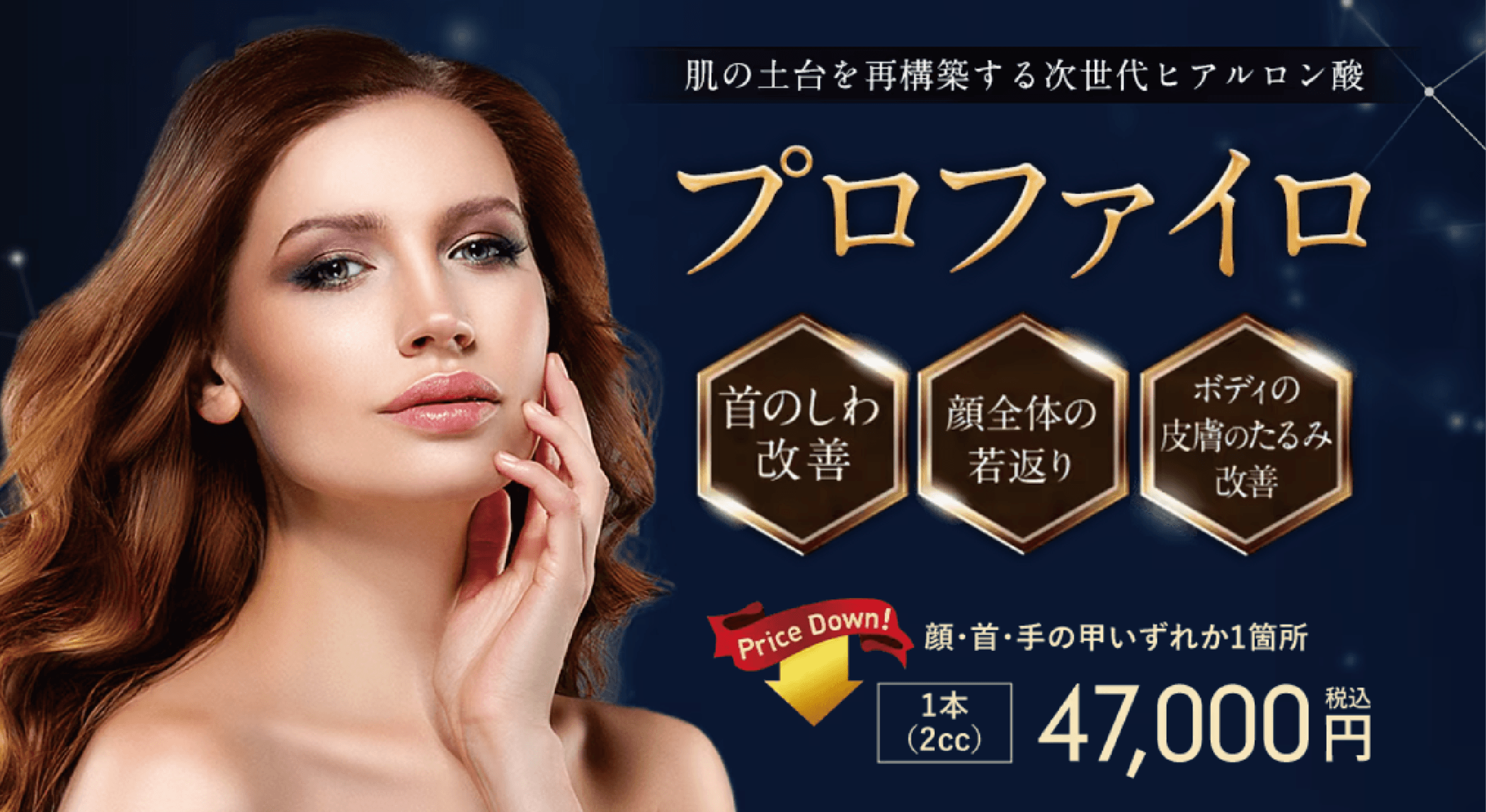 プロファイロ表紙