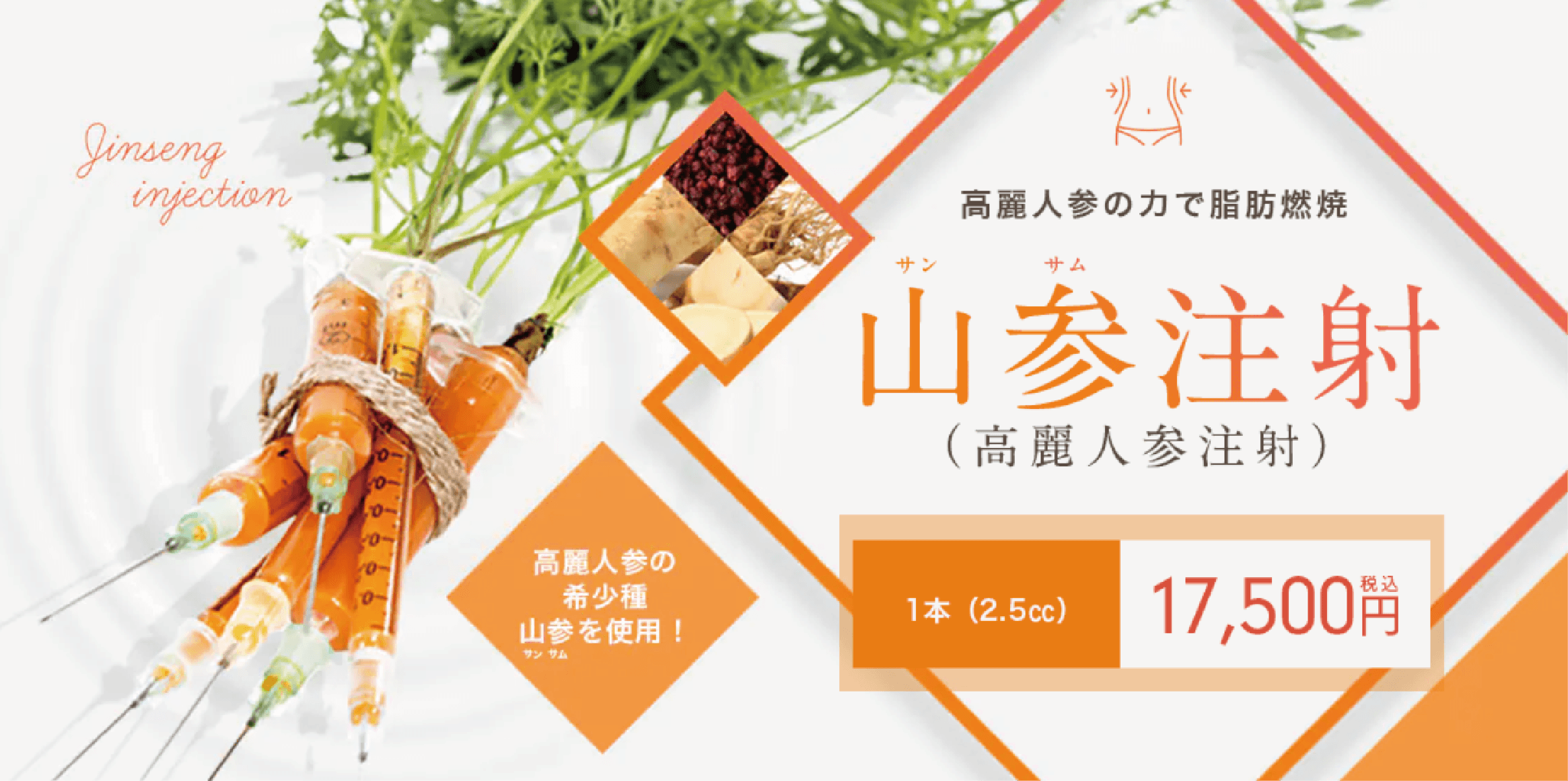 山参注射表紙