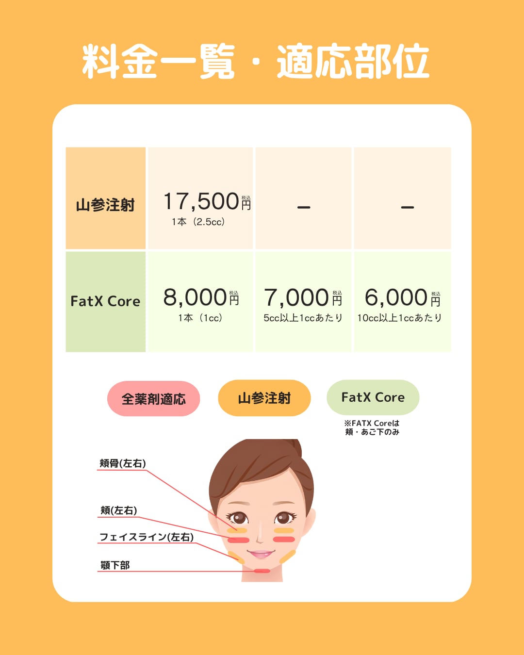 2種類の料金と適応部位を徹底解説