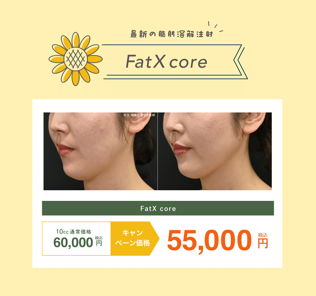 FatX coreがお得！