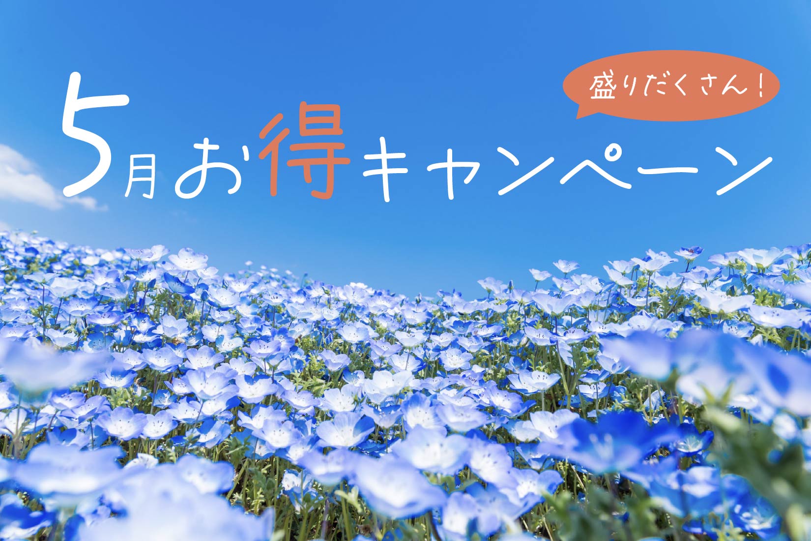 5月のお得なキャンペーン情報🎏