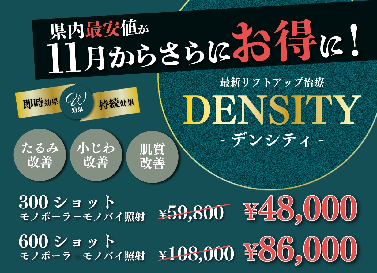 11月から挑戦しやすいお値段に