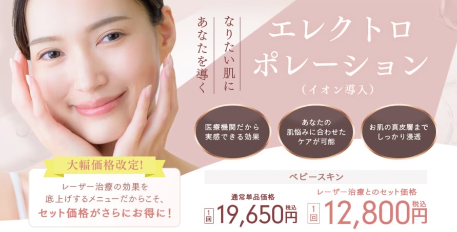 エレクトロポレーション(イオン導入)