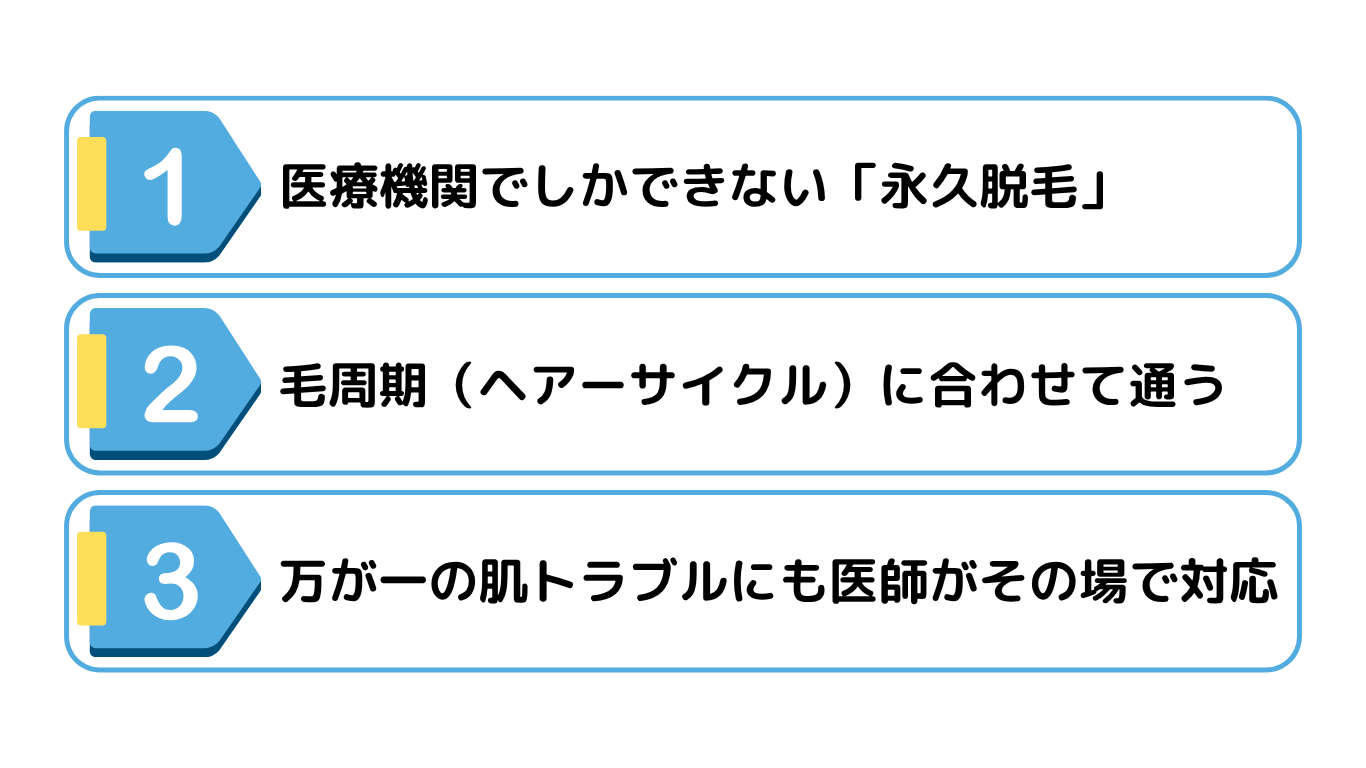 初心者が知るべき3つの基本🔰