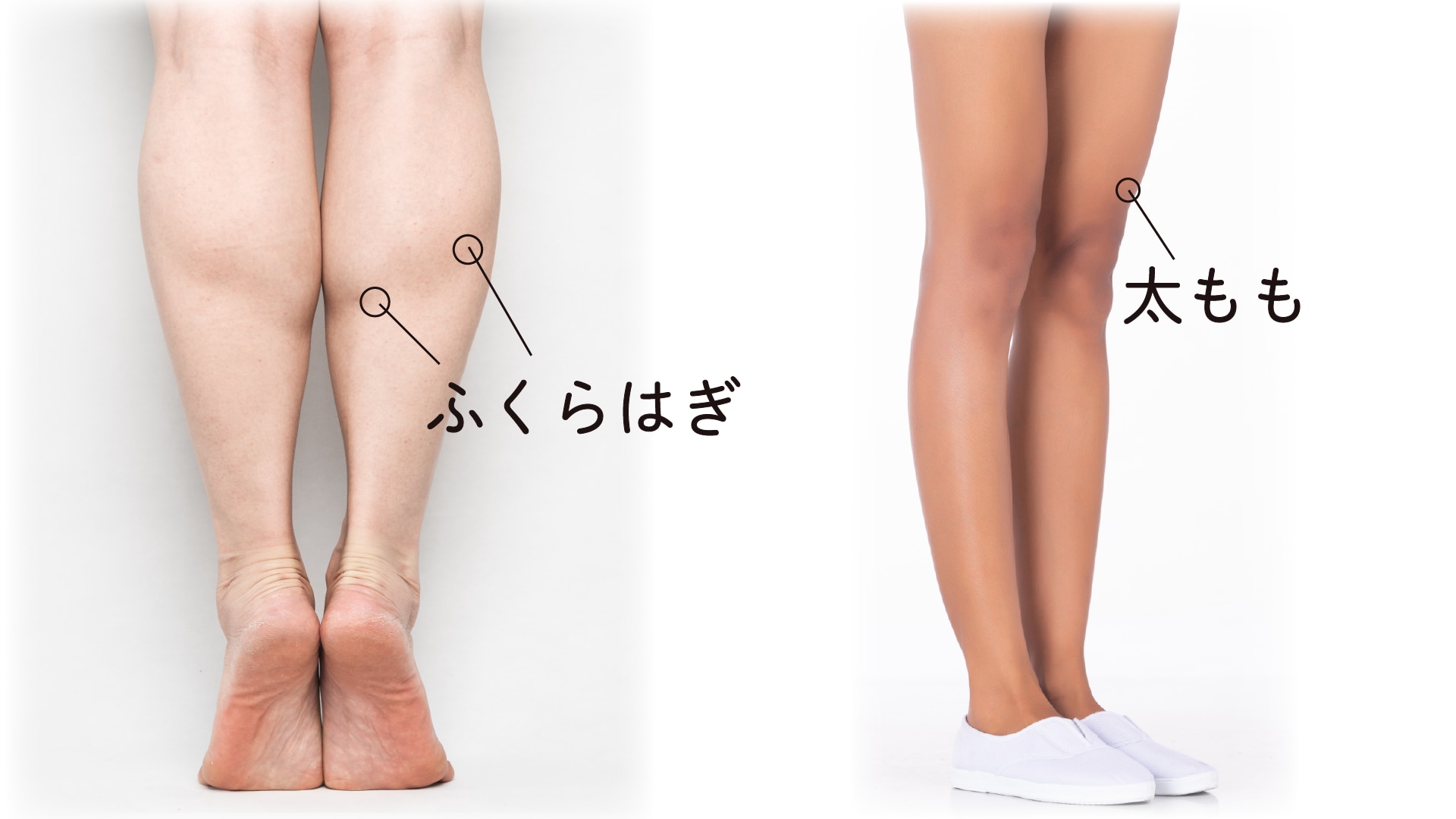 ふくらはぎボトックスで脚痩せ・美脚を目指す