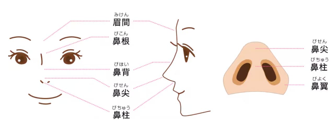 Eラインを整える