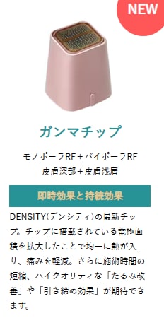 SBC専用に開発された「ガンマチップ」が登場！