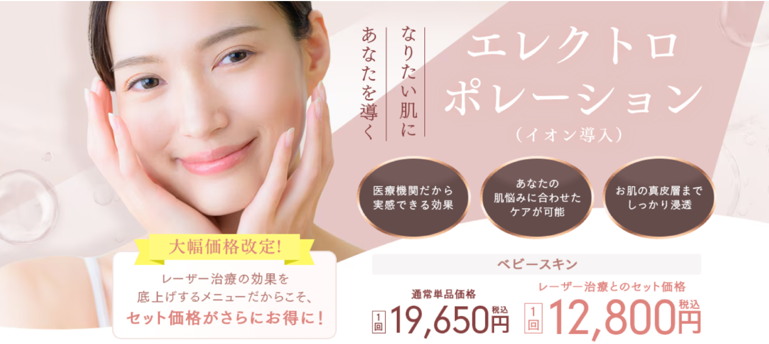 エレクロポレーション（イオン導入）