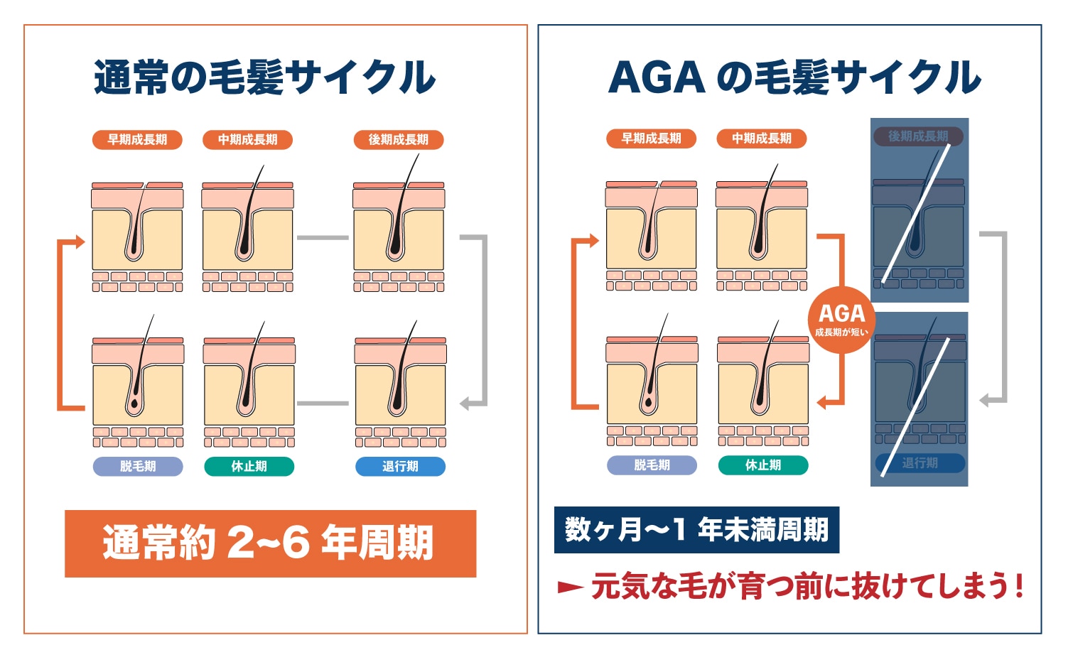 治療を継続するための期間と期待できる変化