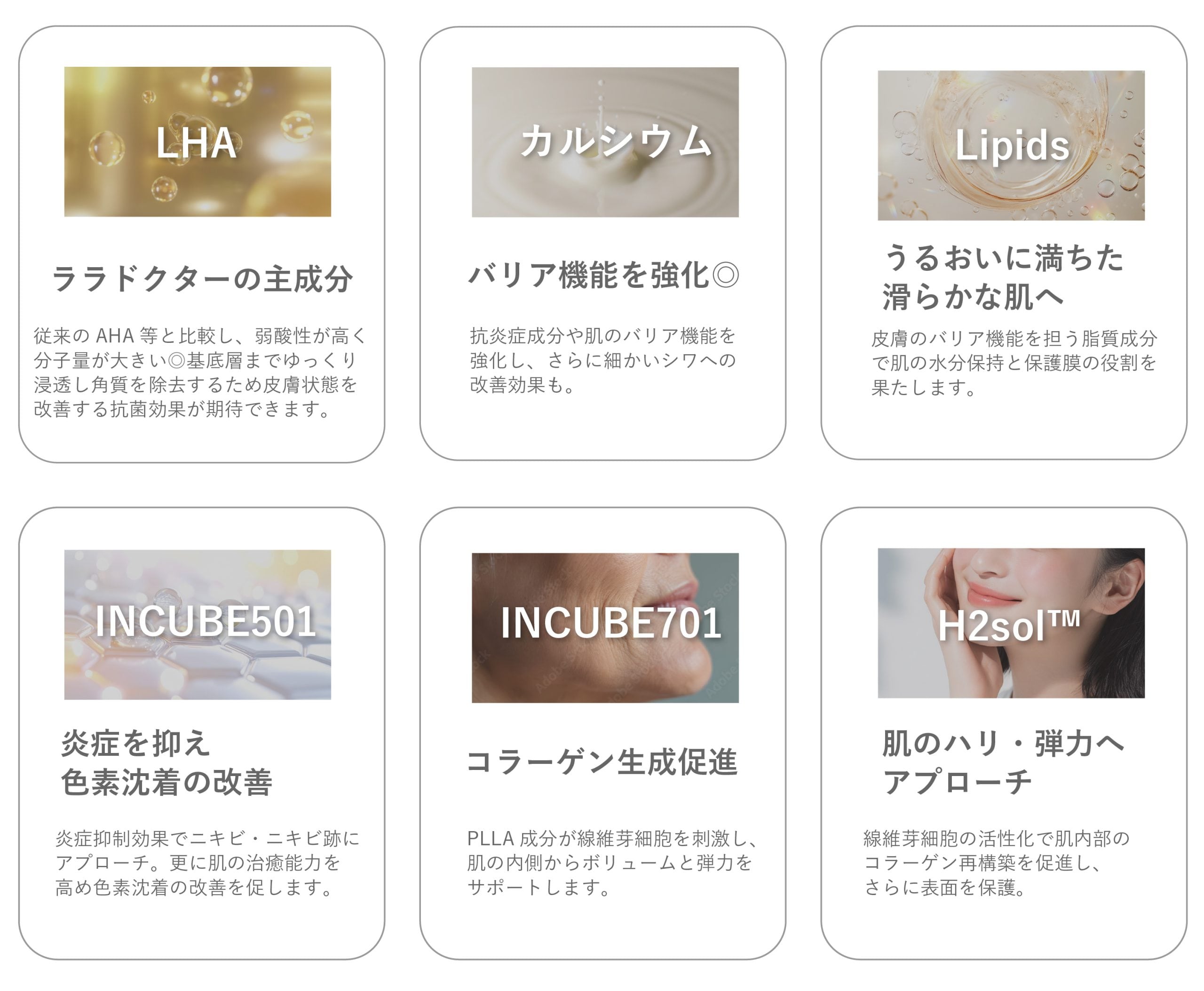 沢山の有効成分が含まれています