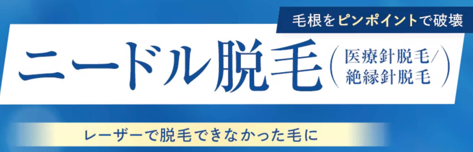 ニードル脱毛って？