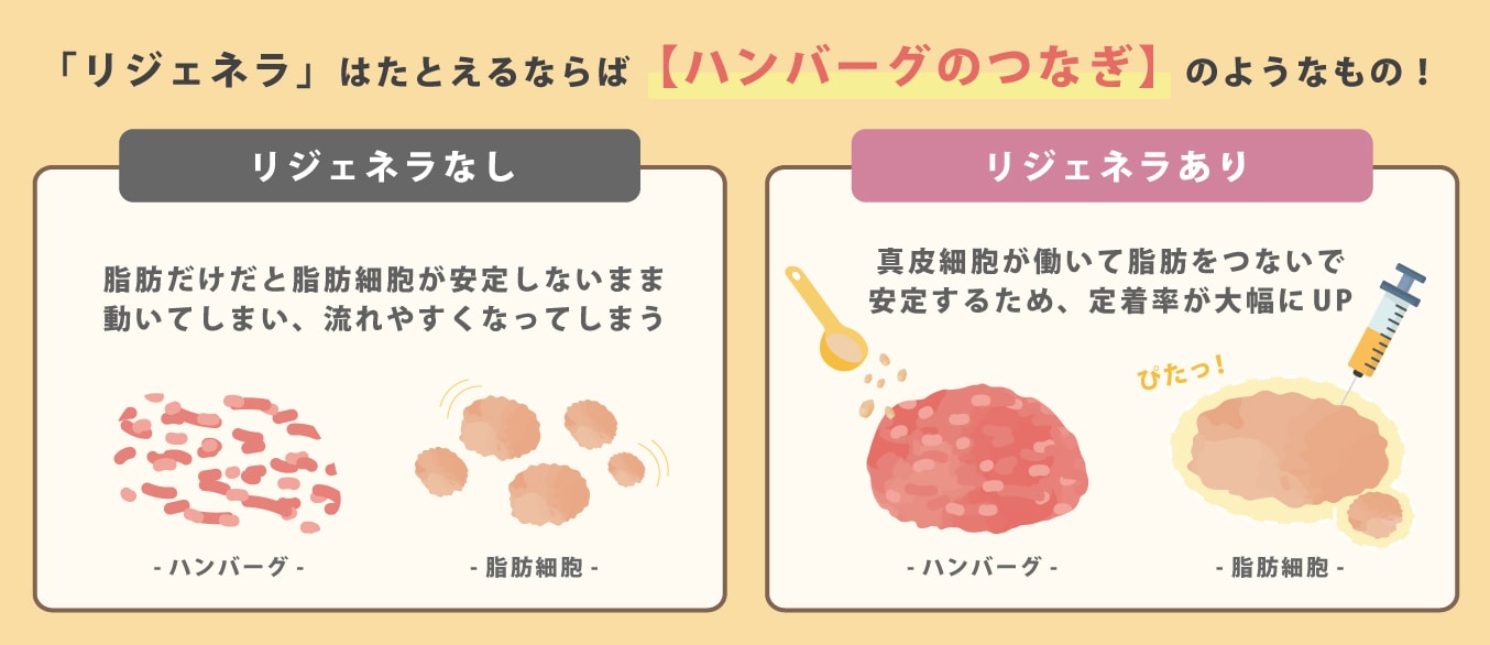 リジェネラは「◯◯」の役割!?