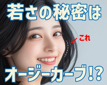 裏ハムラとオージーカーブの関係性を解説：根本から理解してクマを改善しよう！｜関東エリア・神奈川エリアのクマ治療