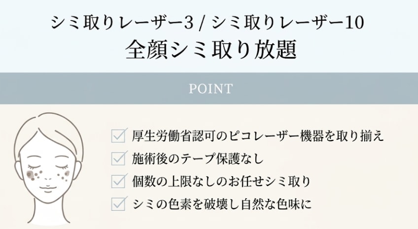 どんな大きさのシミでもまとめて【シミ取りレーザー3 / シミ取りレーザー10 / 全顔シミ取り放題】<br />

