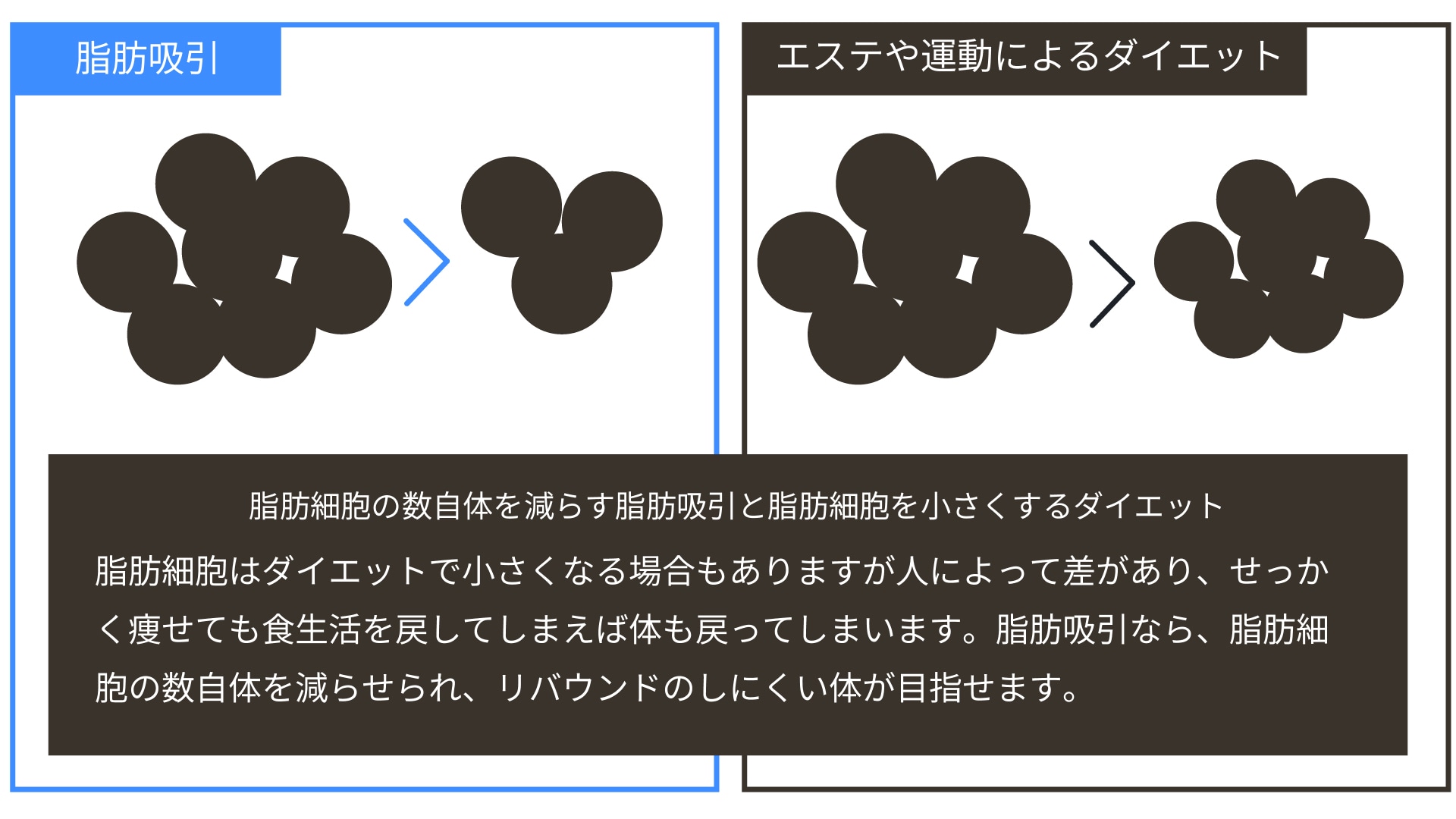 エステと何が違うの？医療の脂肪吸引って？
