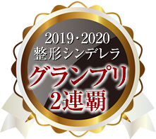 整形シンデレラ