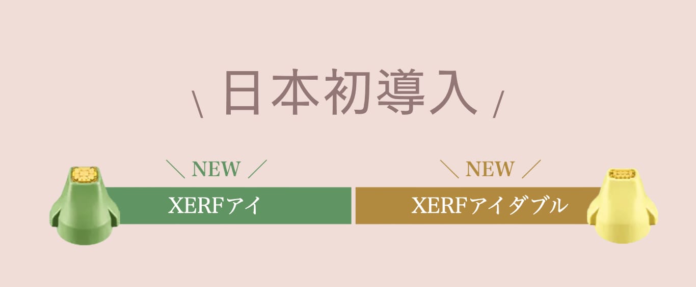 XERF日本初導入画像