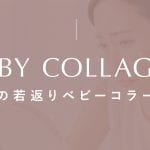 鹿児島 クマ 改善