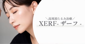 特集記事キャプション