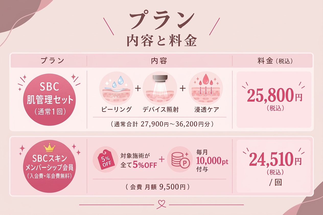 プランと内容