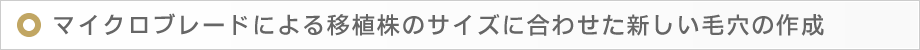 マイクロブレードによる移植株のサイズに合わせた新しい毛穴の作成