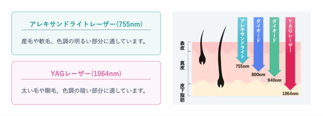 脱毛スプ画像