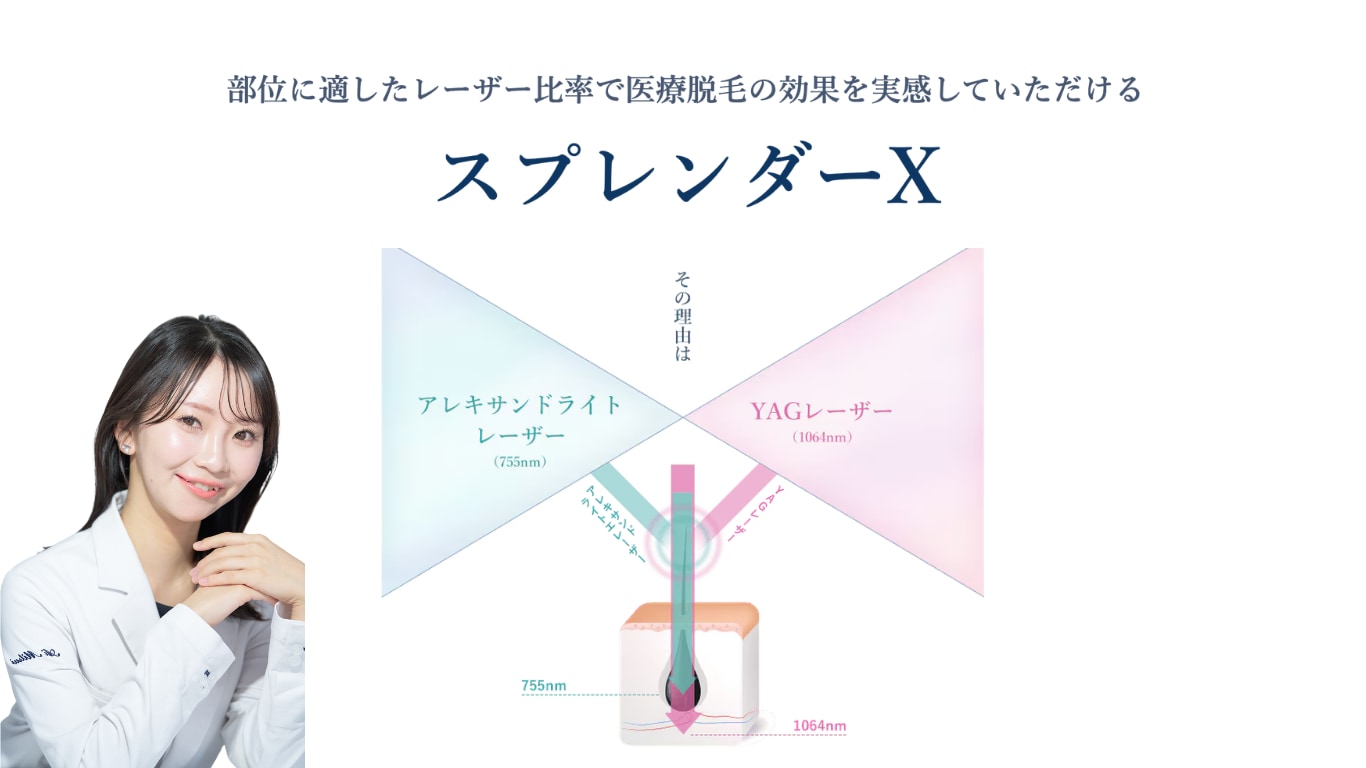 スプレンダー画像
