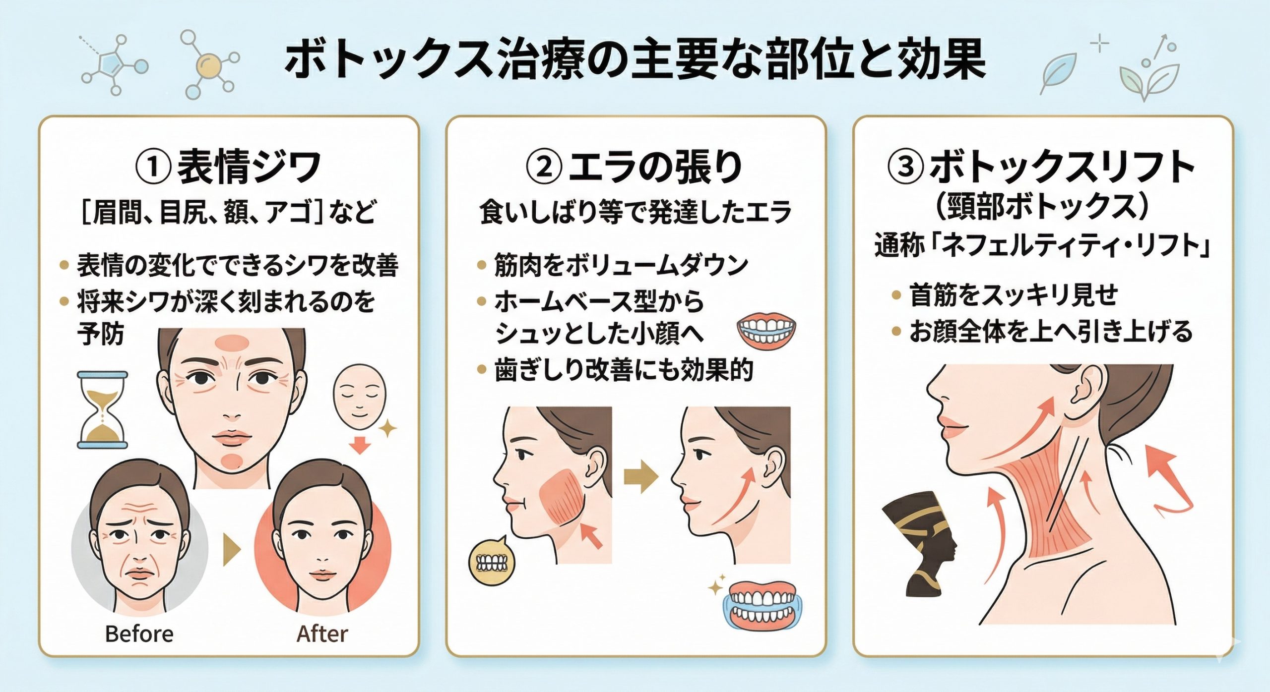 ボトックスの人気施術部位とその効果のイメージ画像