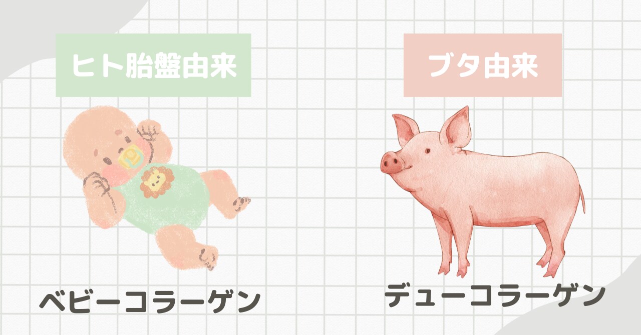 ベビーコラーゲンとデューコラーゲンの製剤由来の違い