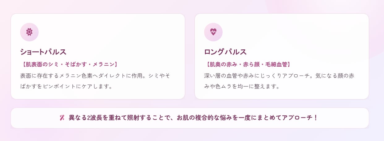 ルメッカピーク記事内解説画像集