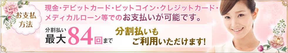 分割払いご利用のご案内