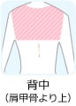 背中(肩甲骨より上)