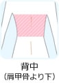背中(肩甲骨より下)