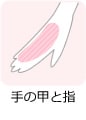 手の甲と指