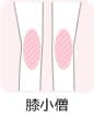 膝小僧