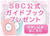 公式ガイドブック