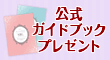公式ガイドブック