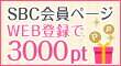 3000ポイント