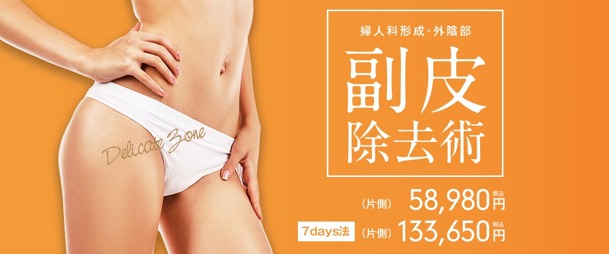 婦人科形成・外陰部 小陰唇 縮小術 (片側)69,250円 税込 7days法 (片側)162,000円 税込