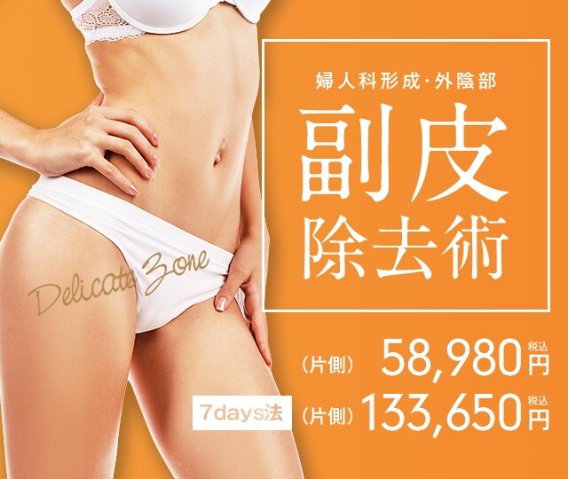 婦人科形成・外陰部 小陰唇 縮小術 (片側)69,250円 税込 7days法 (片側)162,000円 税込