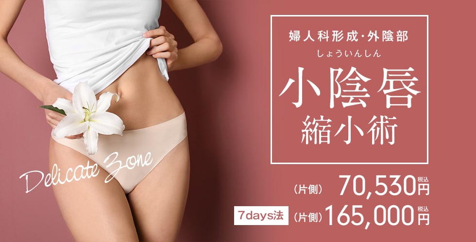 婦人科形成・外陰部 小陰唇 縮小術 (片側)69,250円 税込 7days法 (片側)162,000円 税込