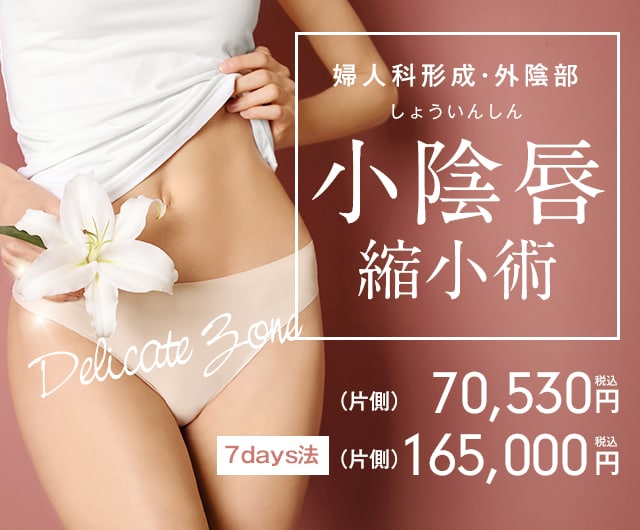 婦人科形成・外陰部 小陰唇 縮小術 (片側)69,250円 税込 7days法 (片側)162,000円 税込