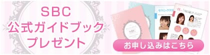 公式ガイドブック