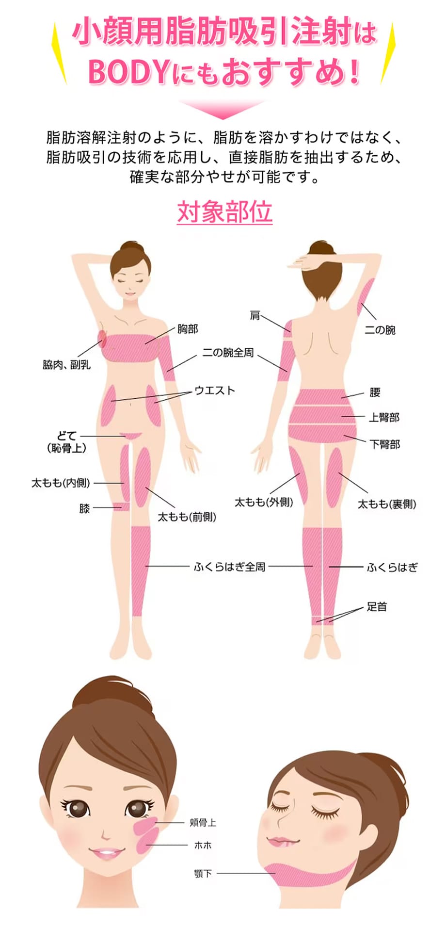対象部位