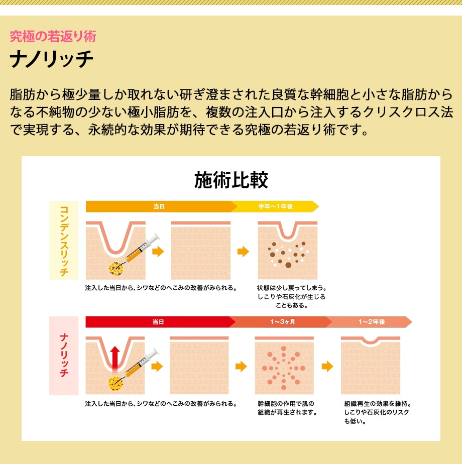 ナノリッチ