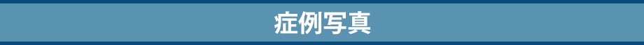 ドクター紹介
