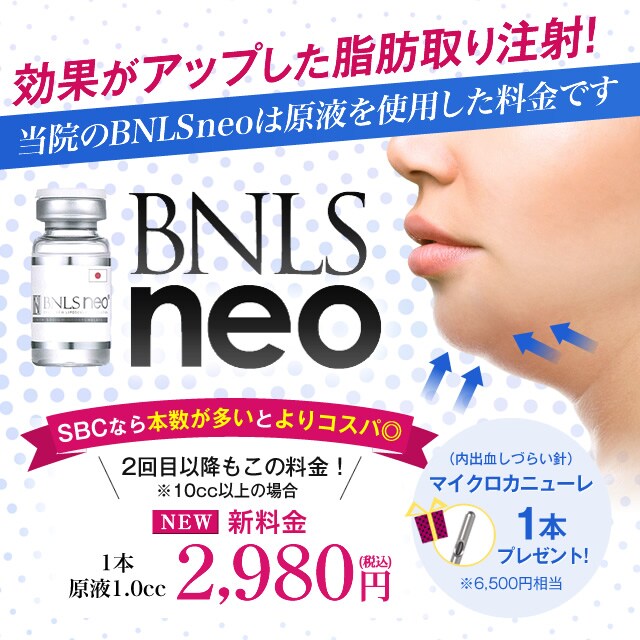 部分痩せ注射BNLS neoの詳細情報