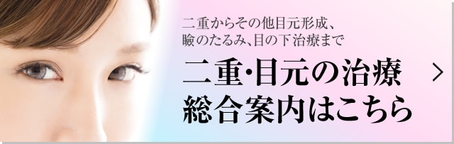 二重術の総合案内