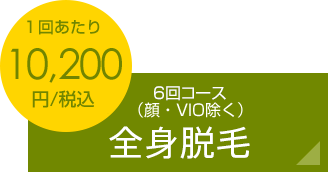 月額13,300円税込 6回コース全身脱毛